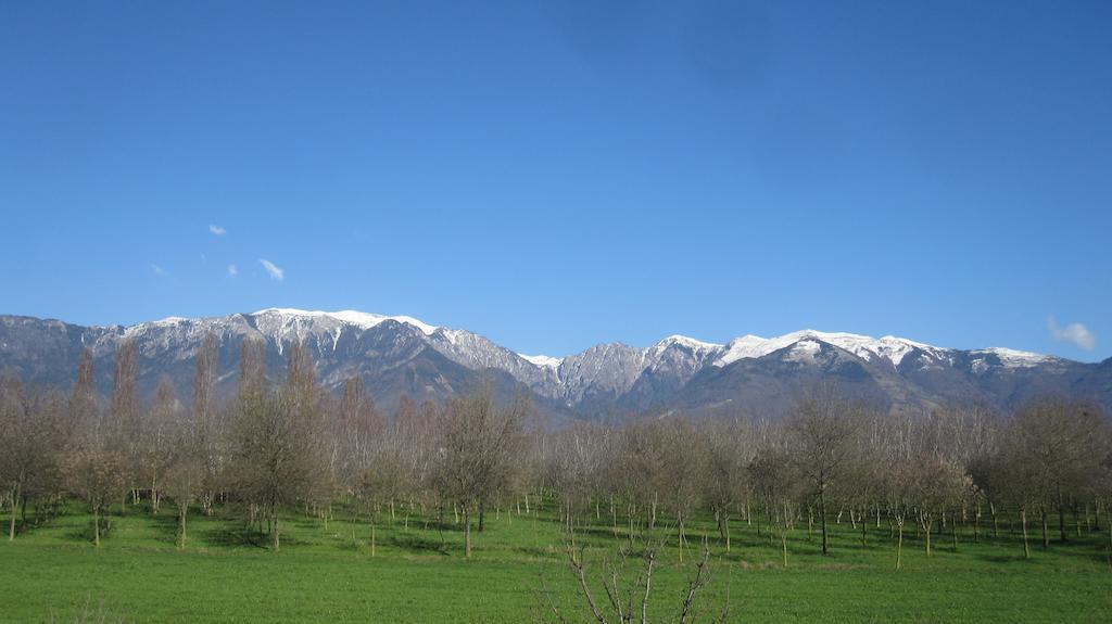 Fara1911 Bed & Breakfast Fonte Bagian luar foto